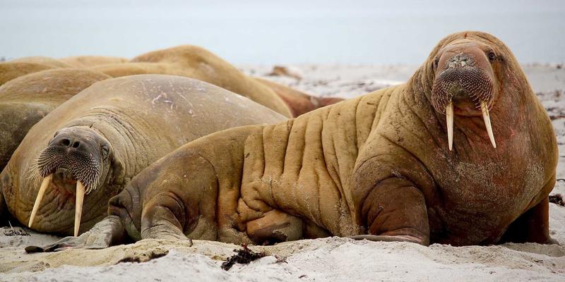 工业标签印刷的耐久性测试:守护包装盒与防伪标签的生命线