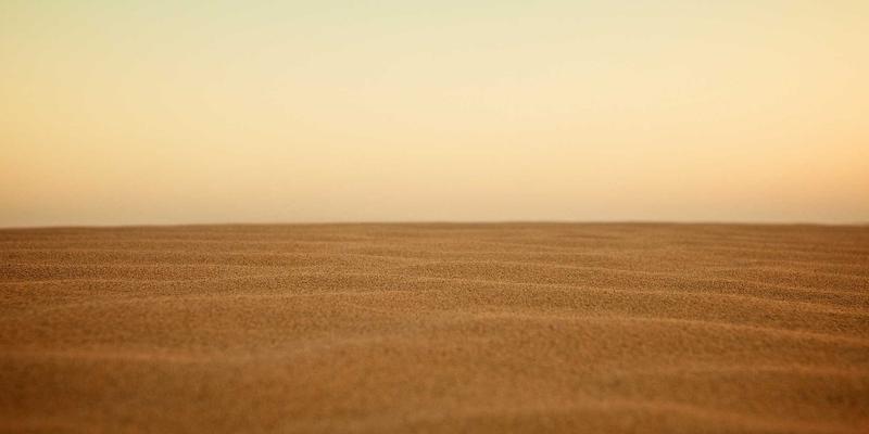 突破印刷极限：金鼎盛元揭秘300dpi以上高精度标签印刷的实现路径